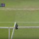 Image for article titled Pigeon Causes Brief Ruckus At Wimbledon